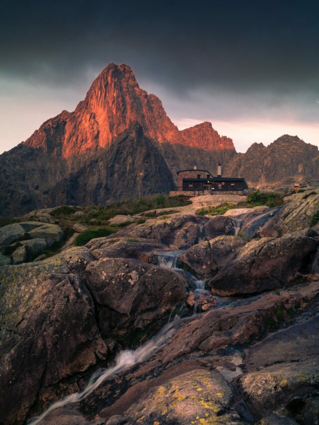 cropped-stefan-stefancik-pmH_Y4Qetrk-unsplash-scaled-1.jpg